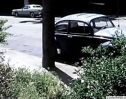 kira alemán rojo &amp;amp; co #3 - completa de cine -b$ r