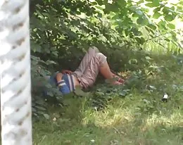 una sorpresa brillante